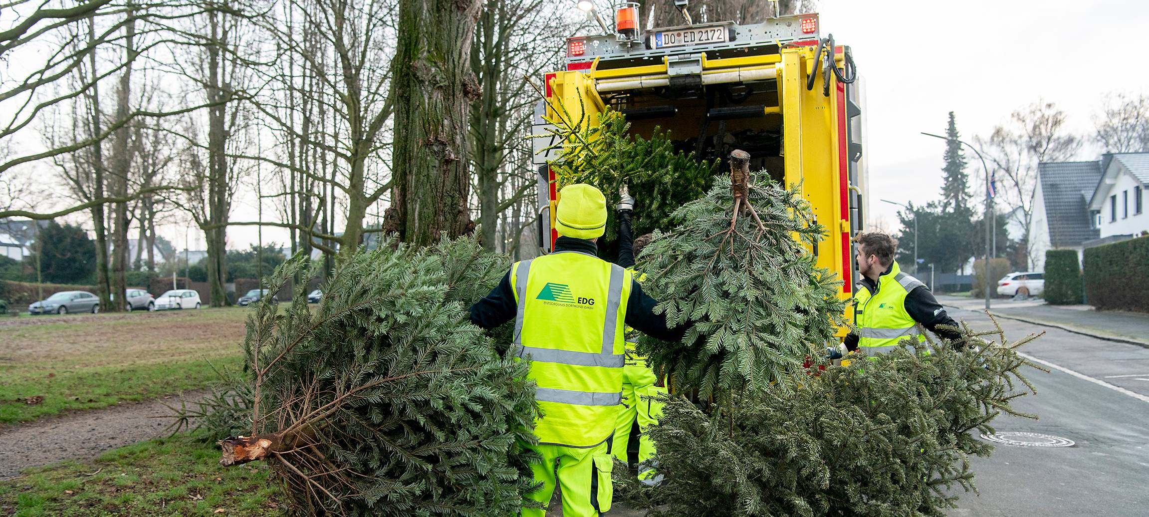 Dortmund: Weihnachtsbaum nicht rausgestellt?