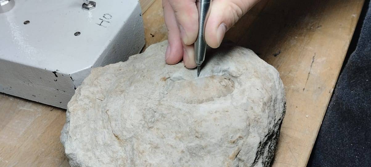 Wir öffnen Türen: Hinter den Kulissen im Naturmuseum Dortmund