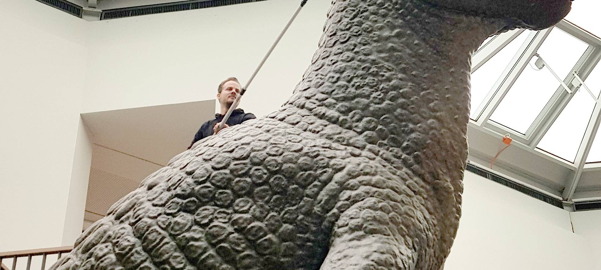 Frühjahrsputz Dortmund Naturmuseum Dino