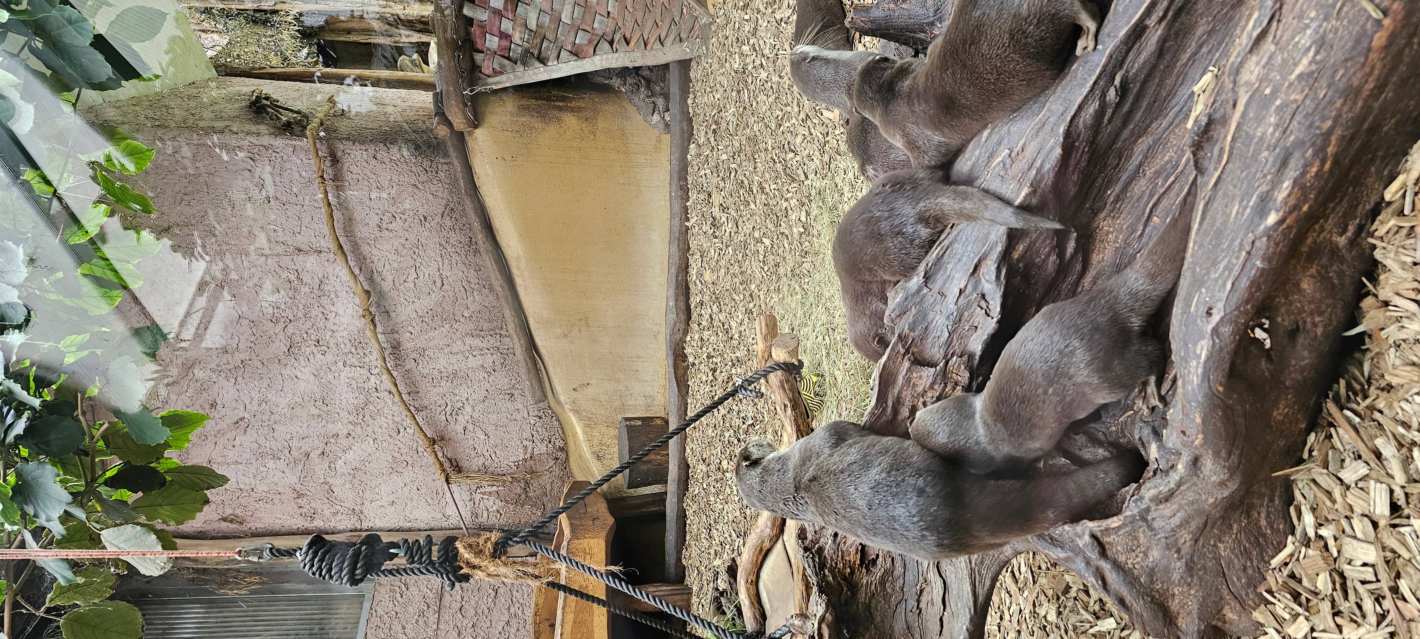 Kinderferienprogramm im Dortmunder Zoo