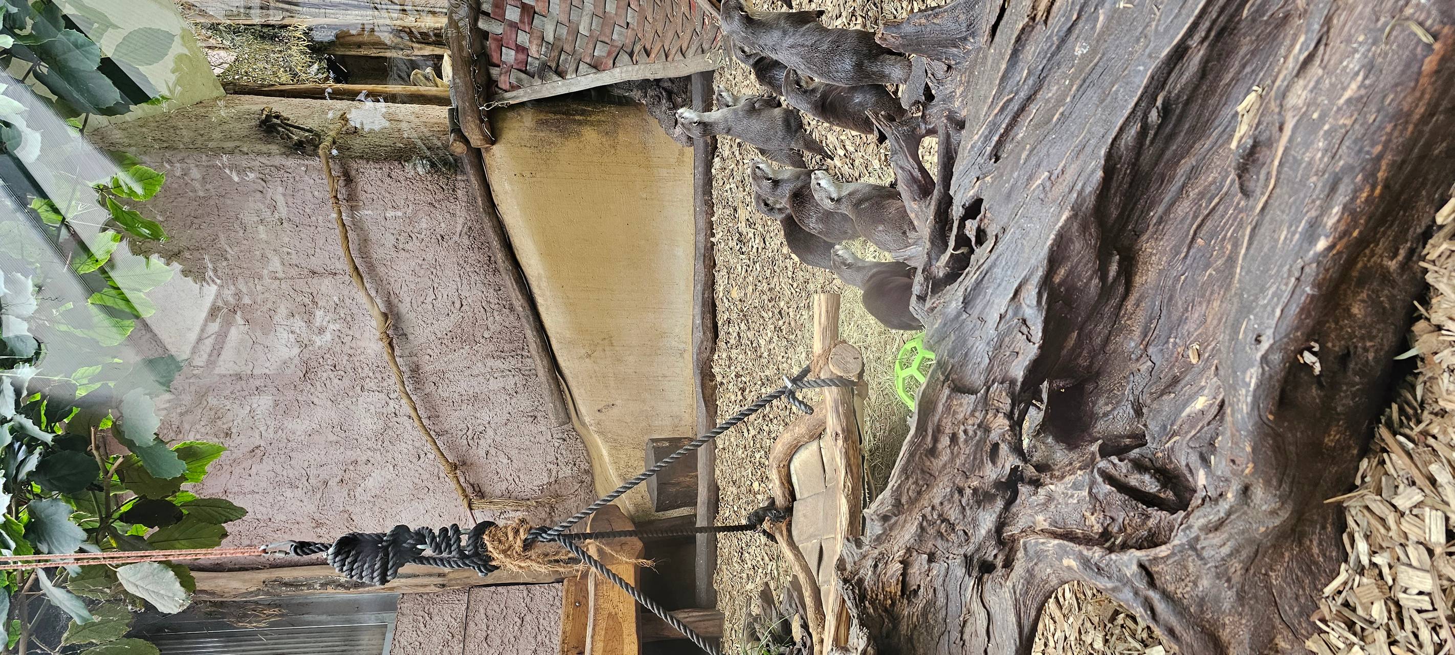 Kinderferienprogramm im Dortmunder Zoo