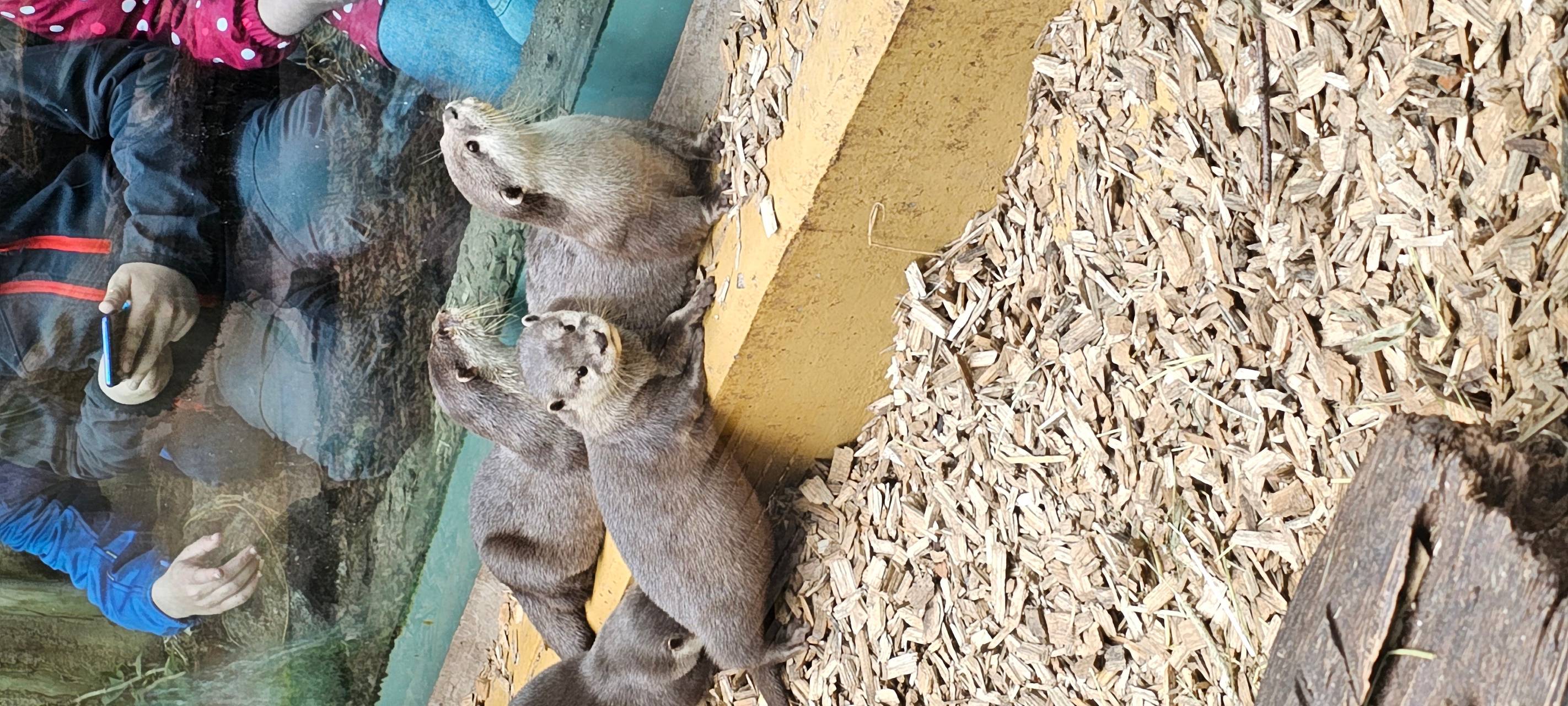 Kinderferienprogramm im Dortmunder Zoo