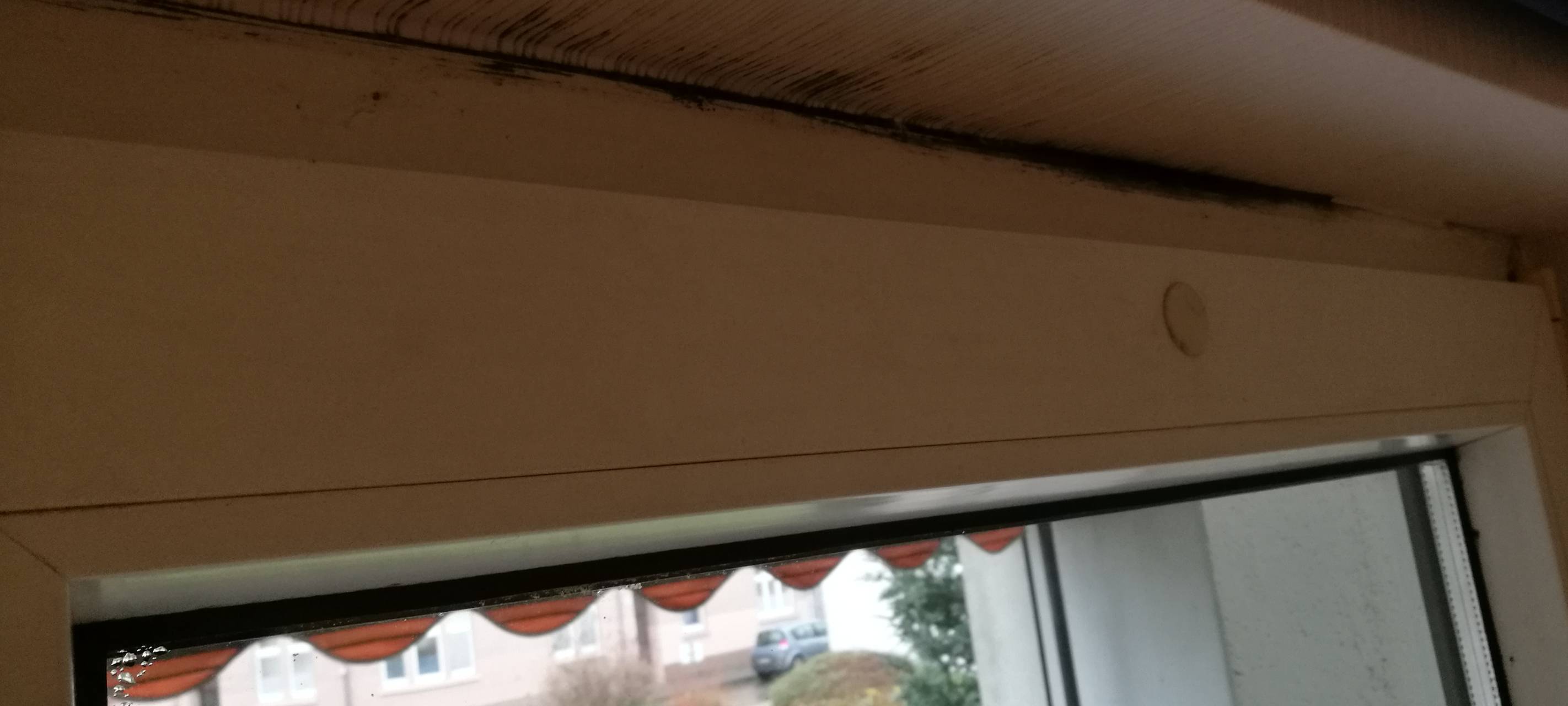 Mieterstreit in Dortmund: LEG unternimmt nichts gegen Schimmel-Wohnung