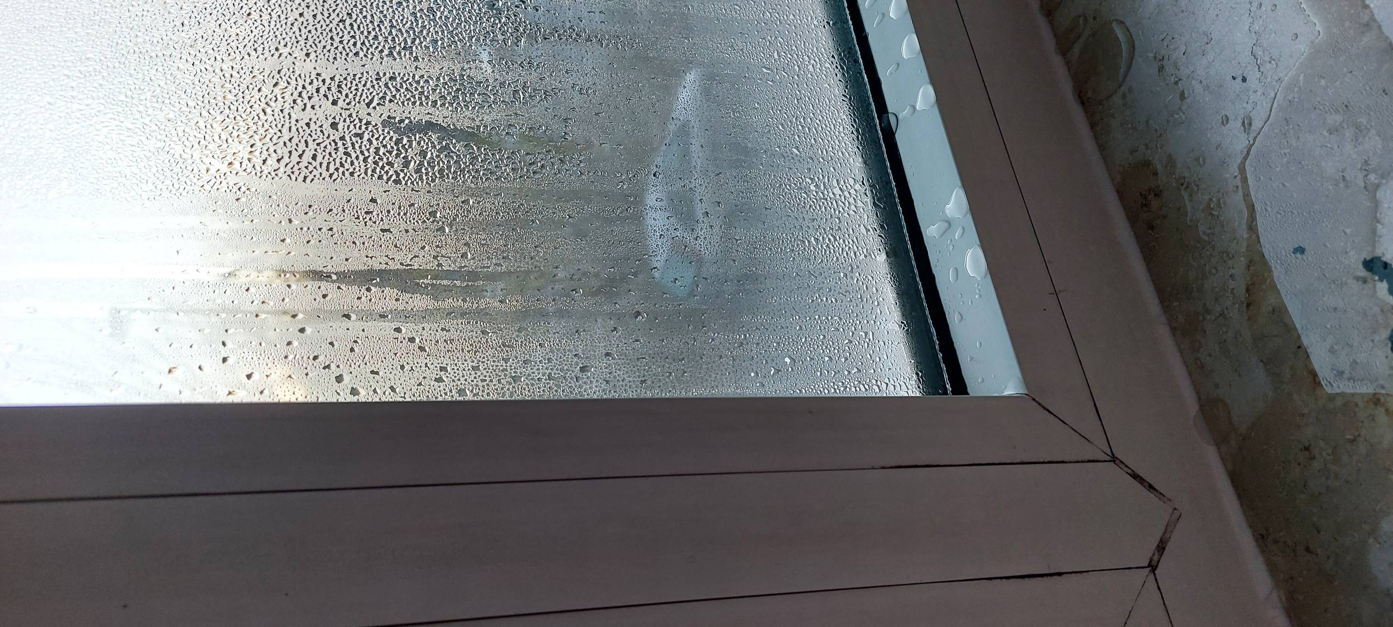 Mieterstreit in Dortmund: LEG unternimmt nichts gegen Schimmel-Wohnung