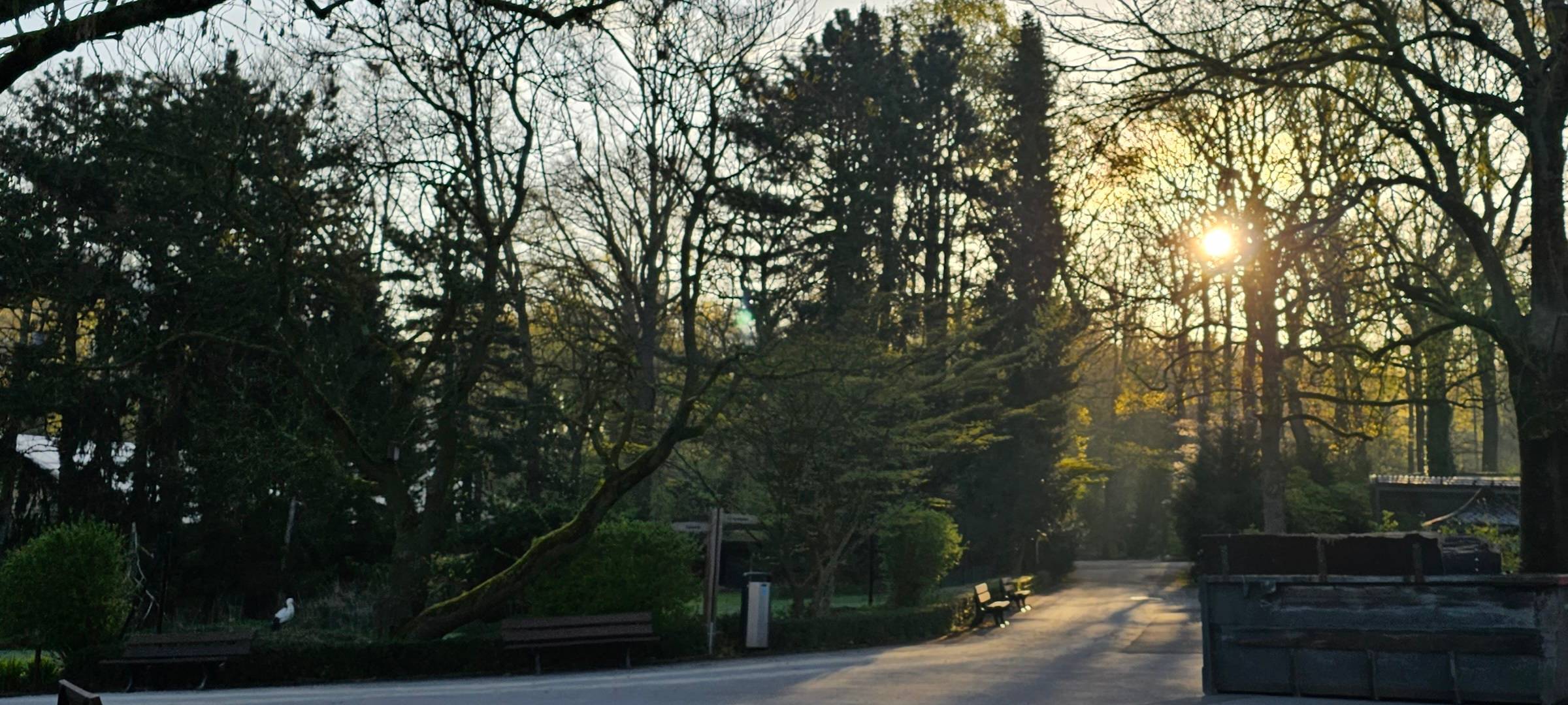 Frühaufsteher und Morgenmuffel: Morgens im Dortmunder Zoo