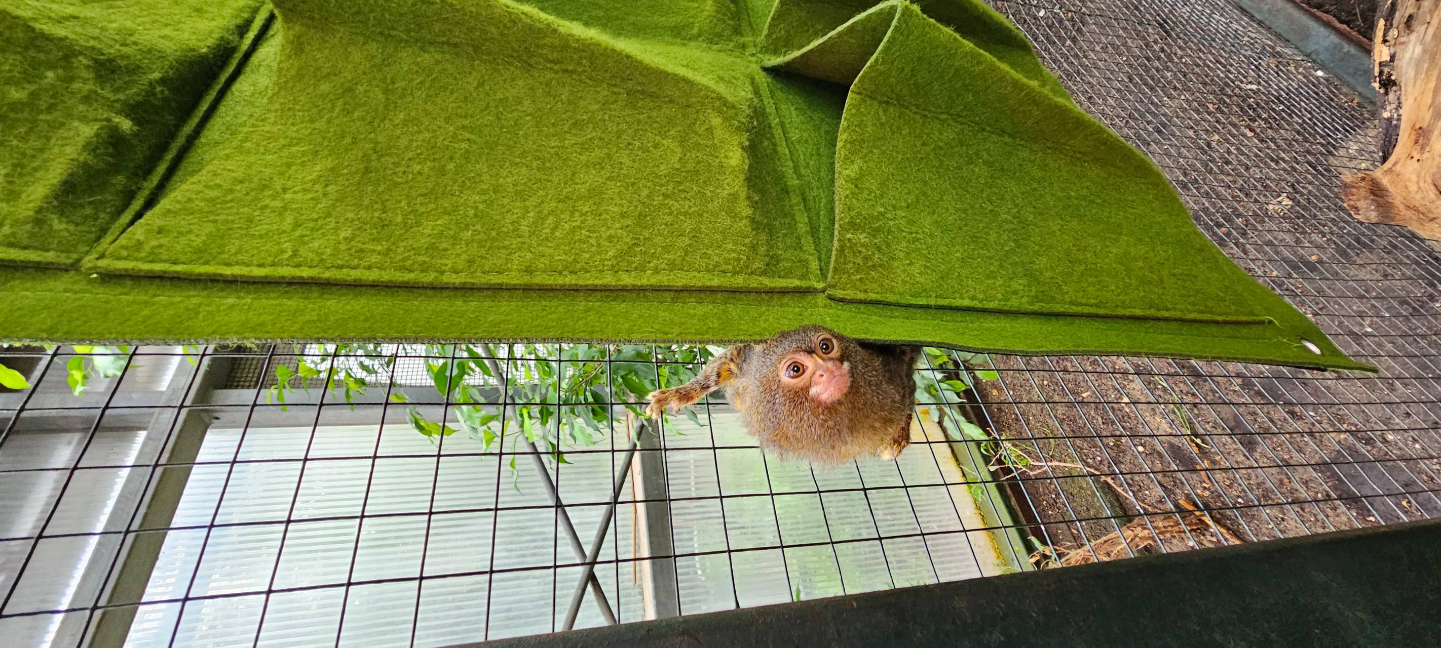 Frühaufsteher und Morgenmuffel: Morgens im Dortmunder Zoo