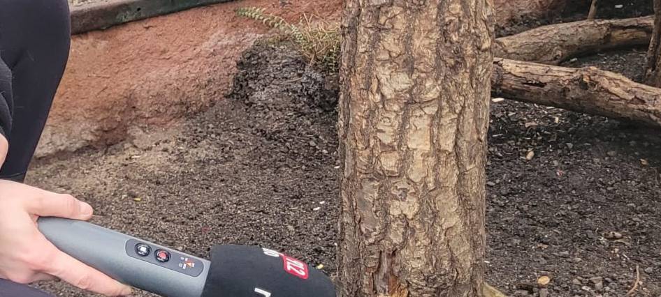 Frühaufsteher und Morgenmuffel: Morgens im Dortmunder Zoo