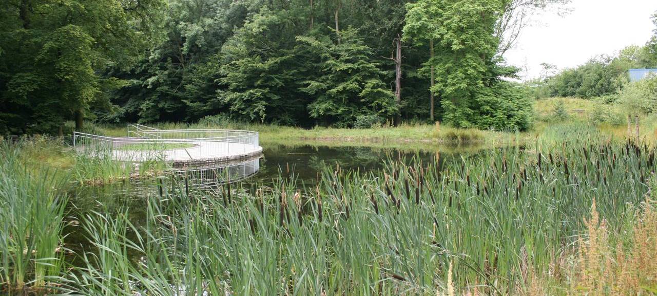 Umbaumaßnahmen am Dortmunder Hoeschpark