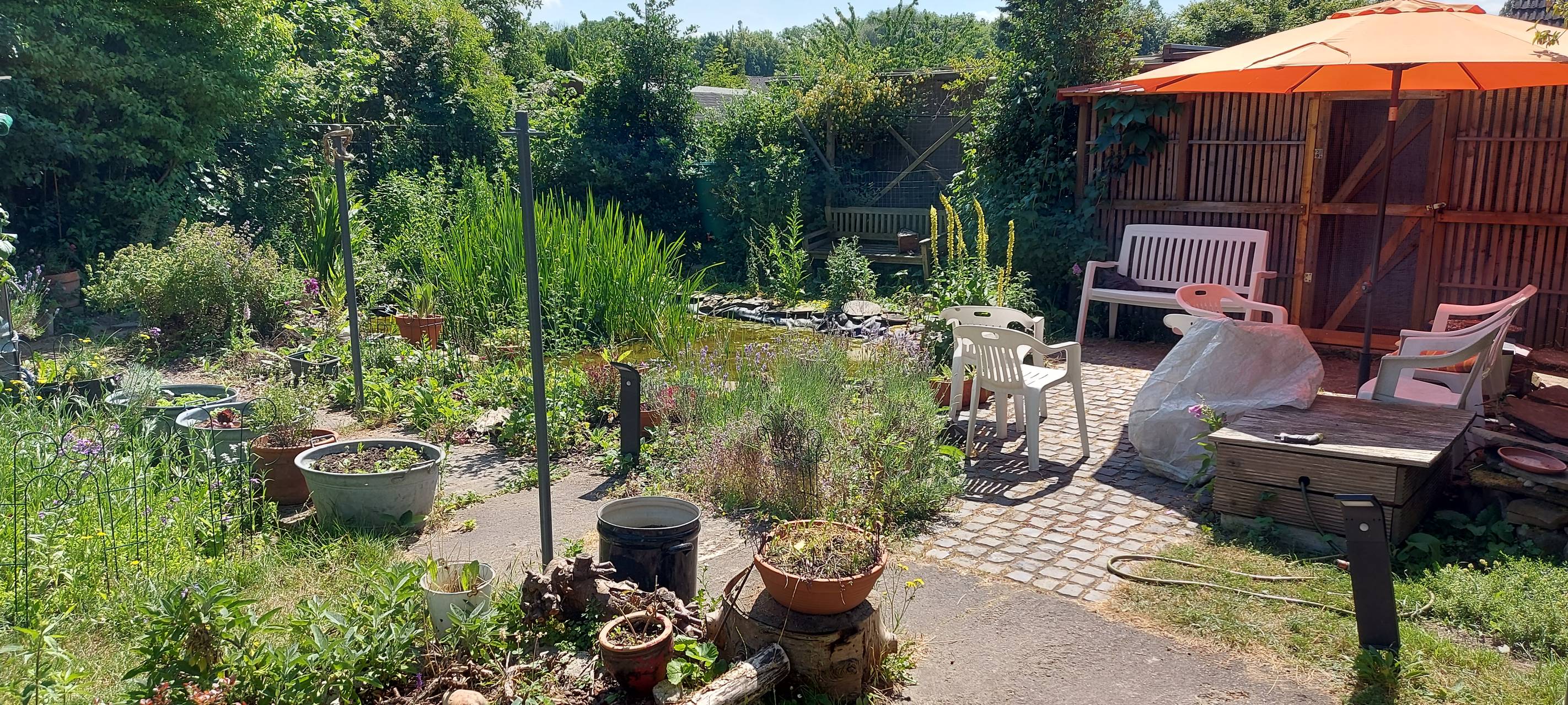 So wild ist Dortmund: Wildvogelstation in Kurl