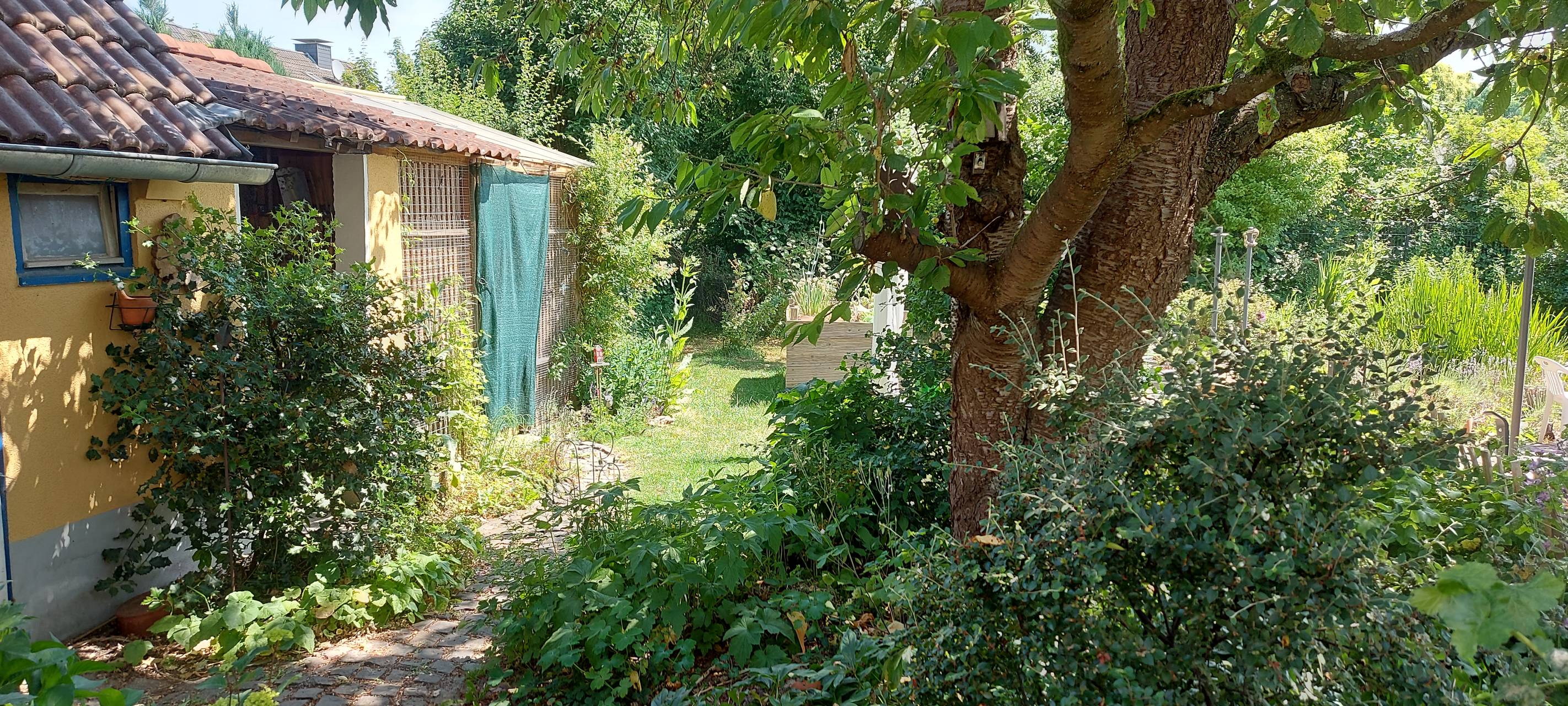 So wild ist Dortmund: Wildvogelstation in Kurl