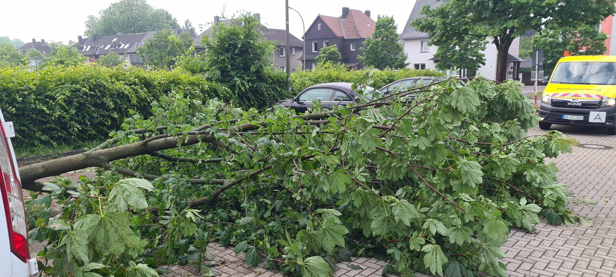 200 Einsätze nach Unwetter in Dortmund
