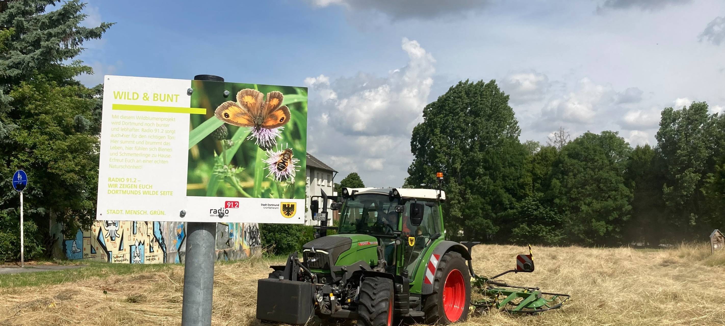 So wild ist Dortmund: Die Radio 91.2-Wildblumenwiese