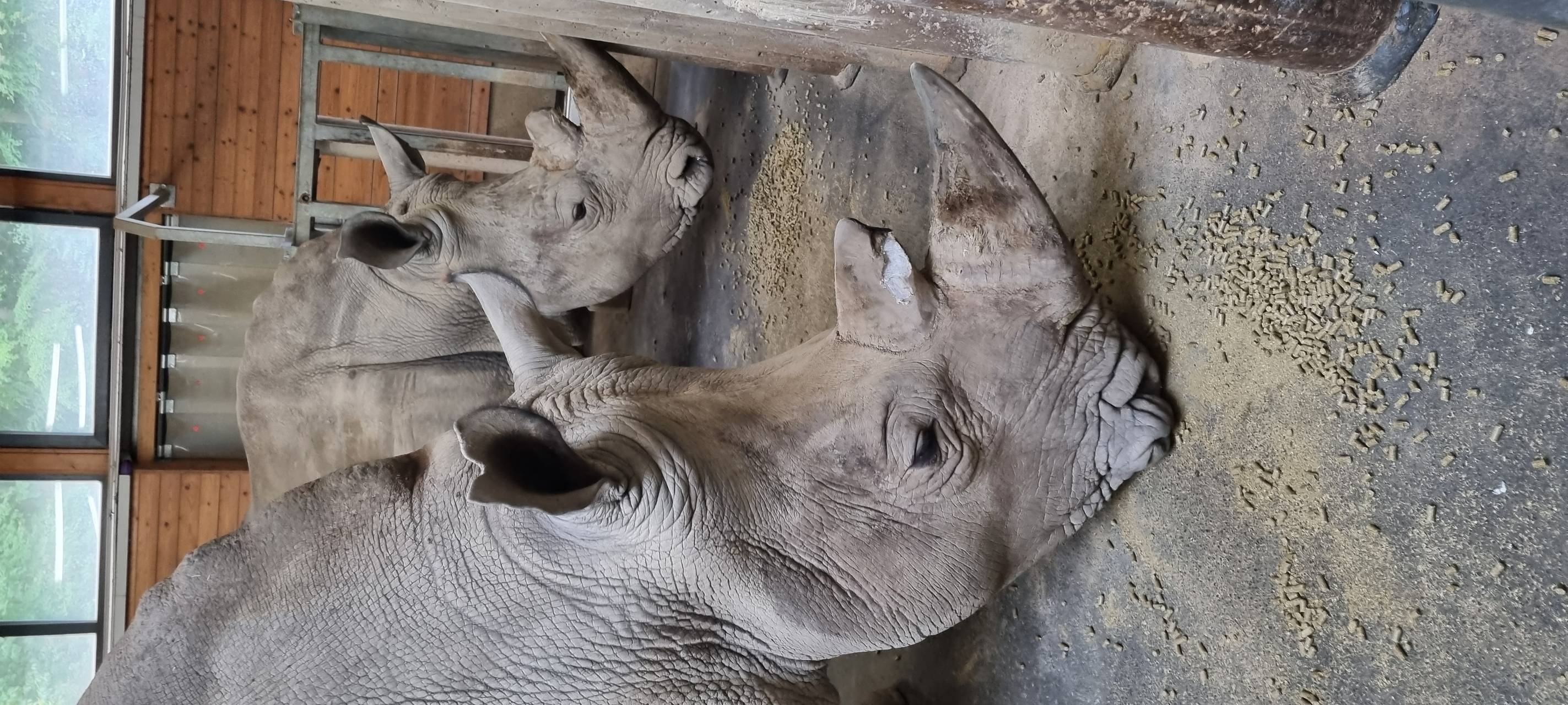 Dortmunder Momente 2023: Radio 91.2 unterwegs im Zoo Dortmund