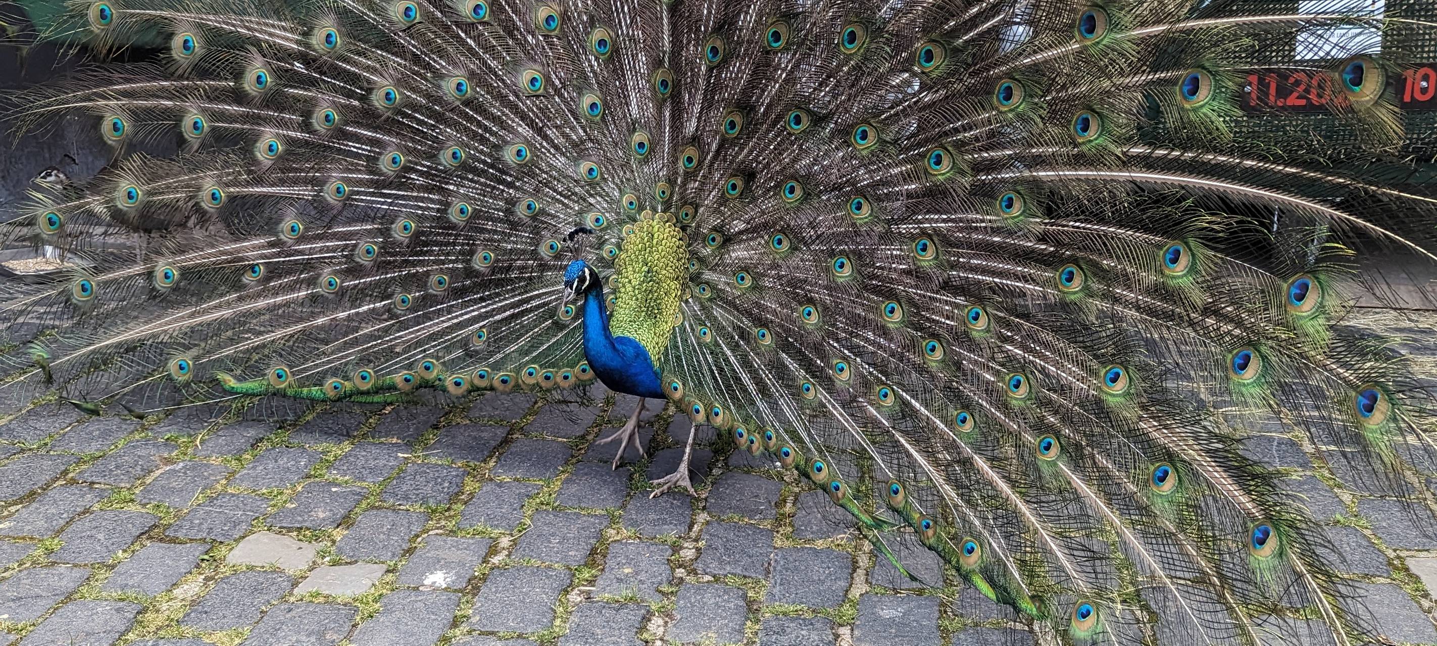 Dortmunder Momente 2023: Radio 91.2 unterwegs im Zoo Dortmund