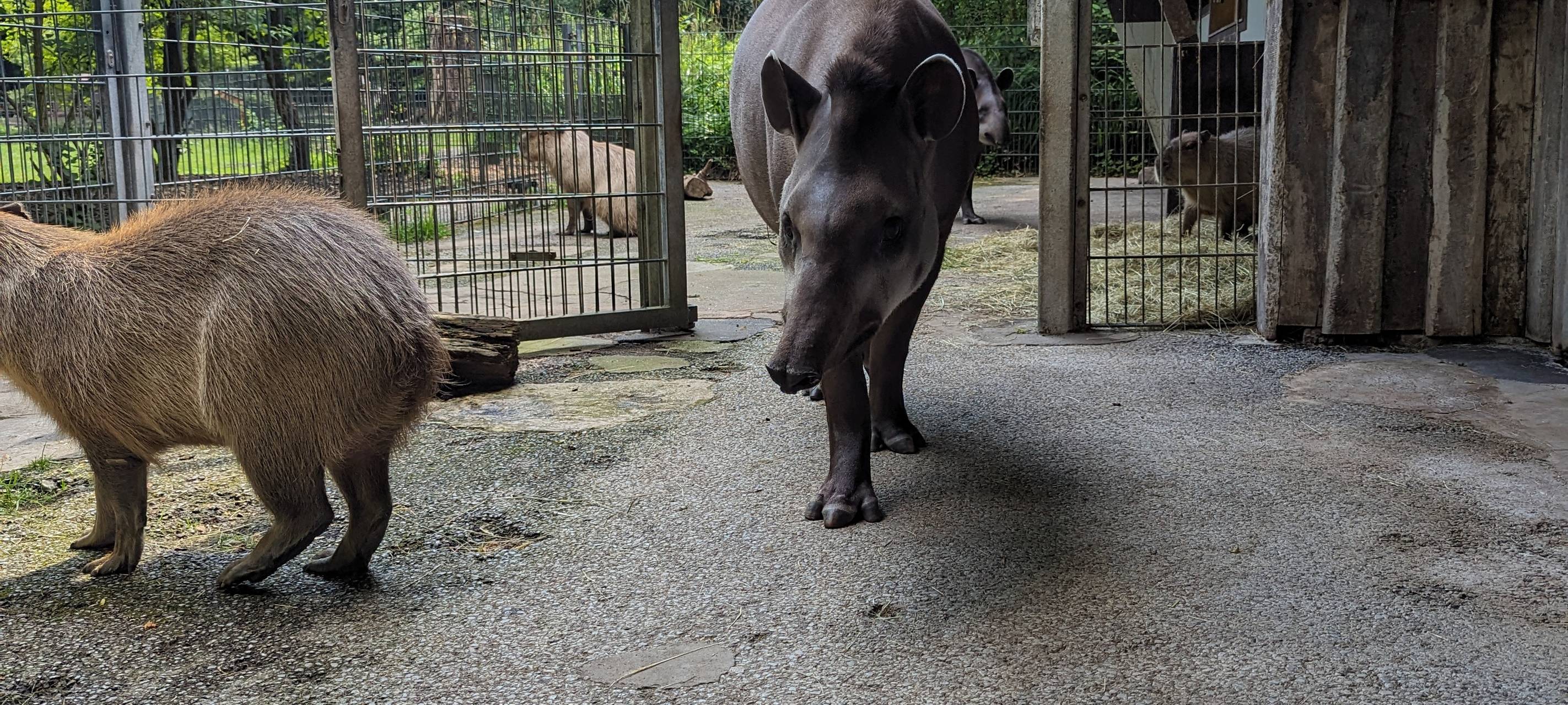 Dortmunder Momente 2023: Radio 91.2 unterwegs im Zoo Dortmund