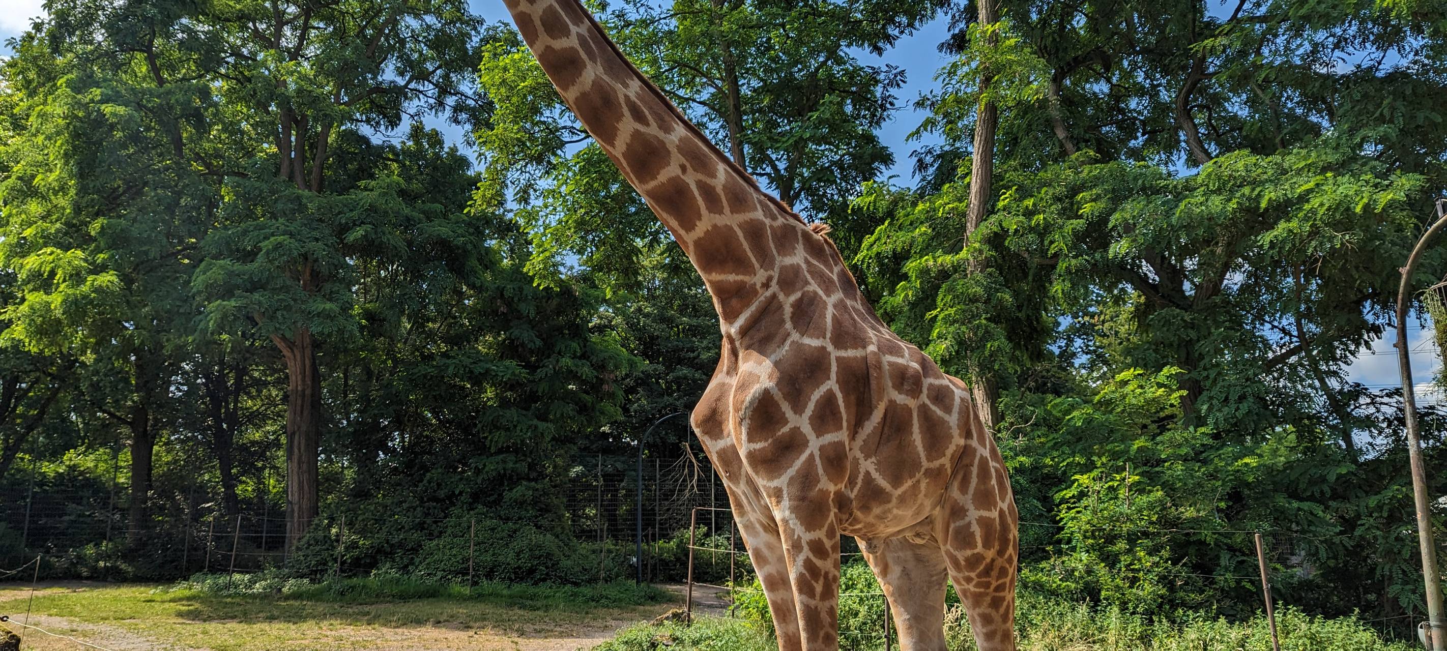 Zoo Dortmund: Ein Euro für den Artenschutz