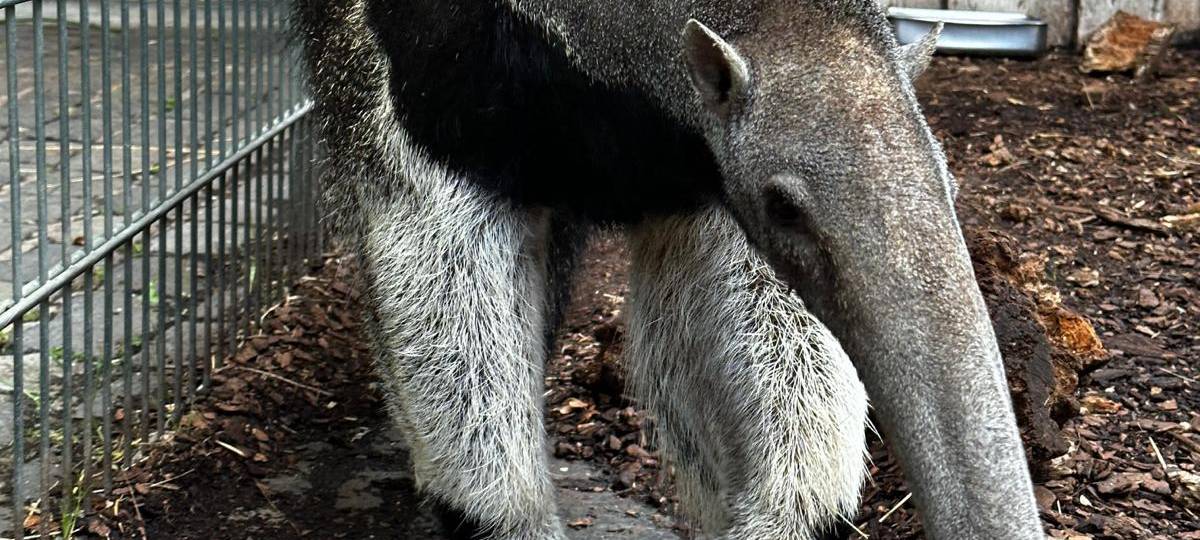 Dortmunder Momente 2023: Radio 91.2 unterwegs im Zoo Dortmund