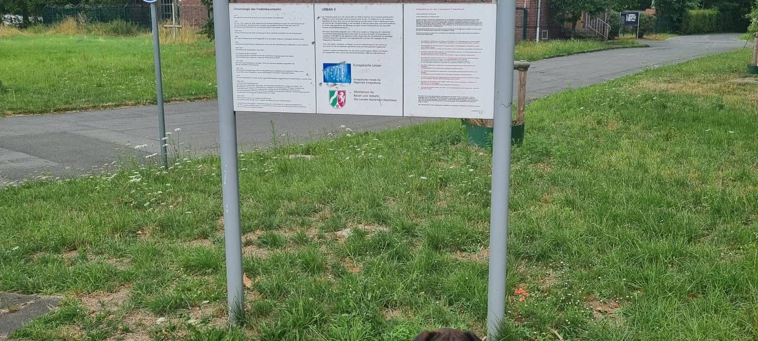 Radio 91.2 unterwegs durch Dortmund