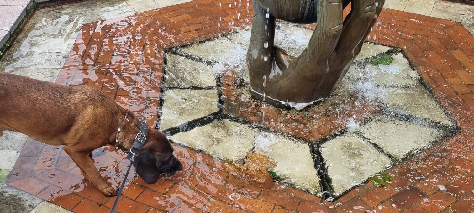 Radio 91.2 unterwegs durch Dortmund