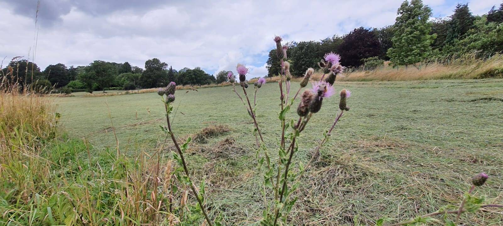 Dortmund wie im Urlaub