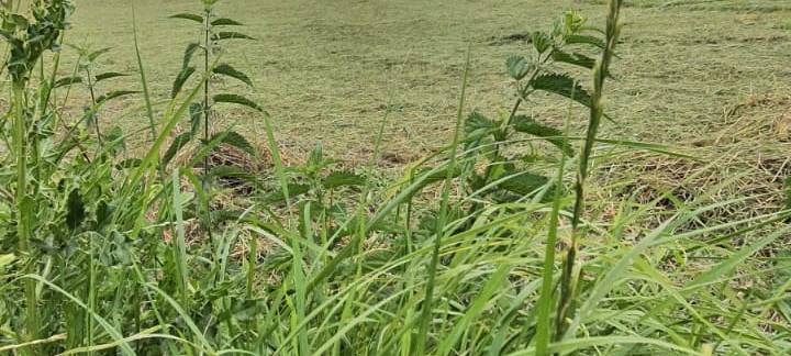 Dortmund wie im Urlaub