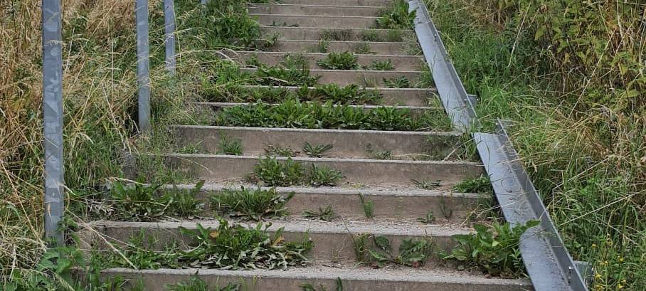 Dortmund wie im Urlaub