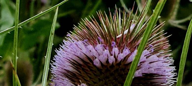 Dortmund wie im Urlaub