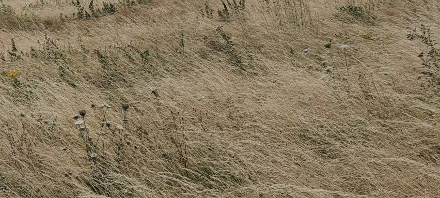 Dortmund wie im Urlaub