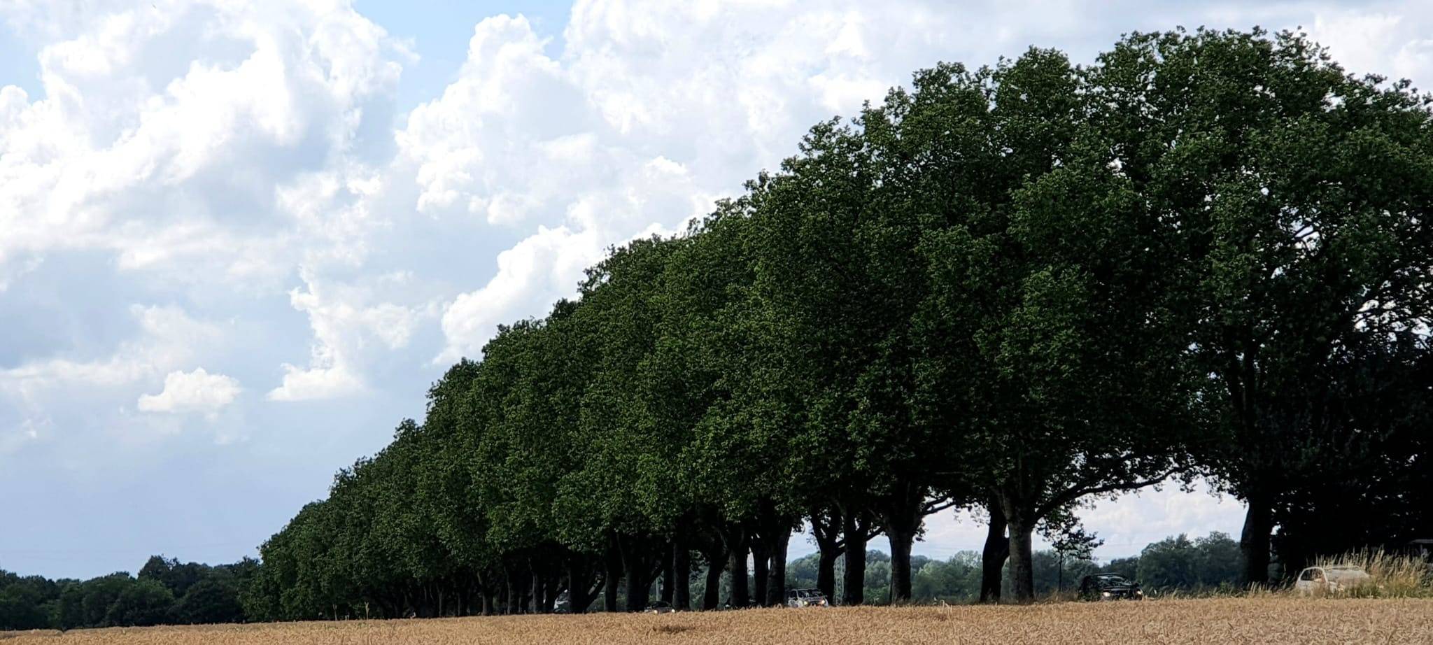 Dortmund wie im Urlaub
