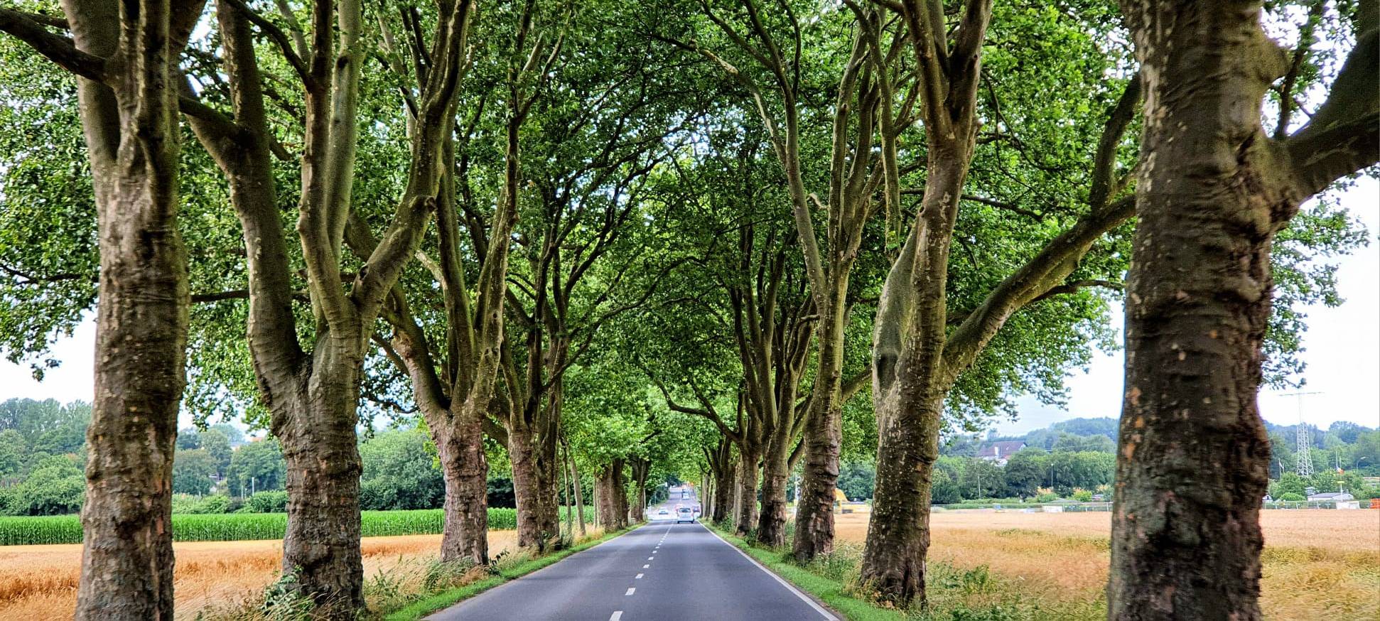 Dortmund wie im Urlaub