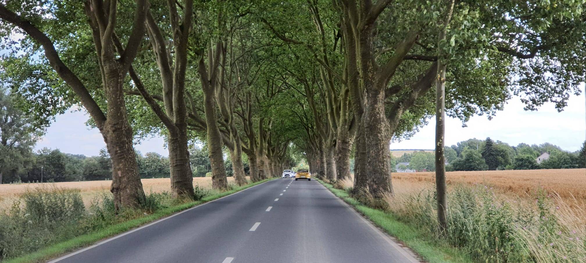 Dortmund wie im Urlaub