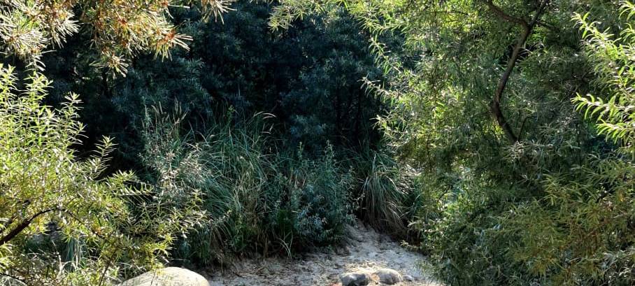 Dortmund wie im Urlaub