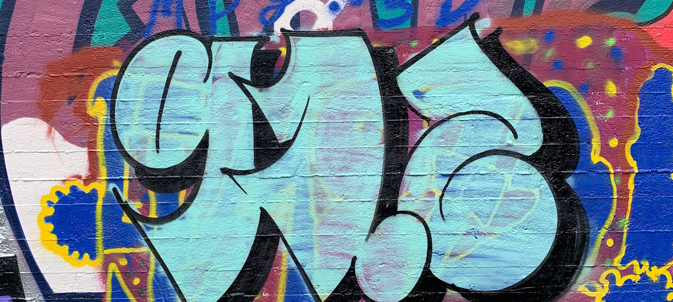 Graffitis in Dortmund: Kunst oder Geschmiere?