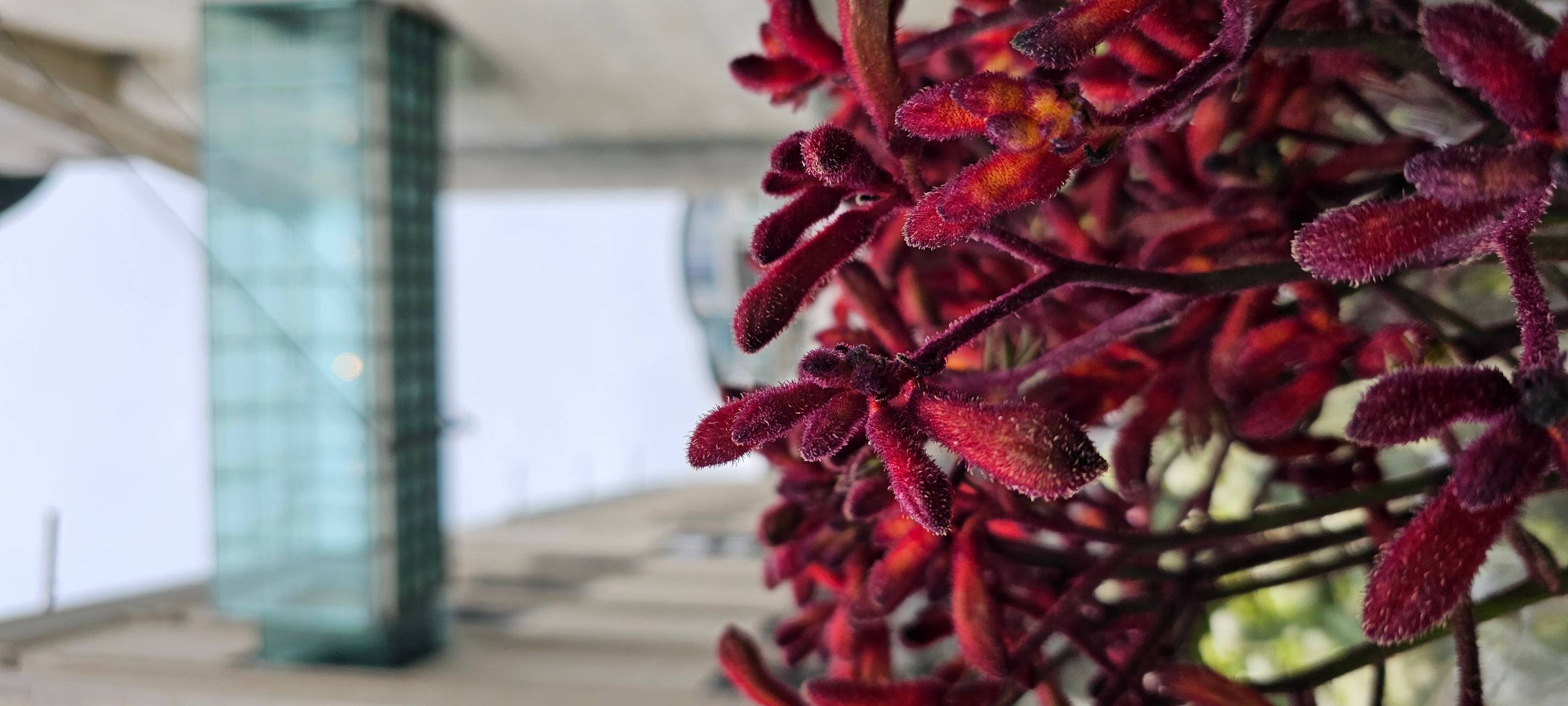 Radio 91.2 unterwegs – auf dem Wochenmarkt in Dortmund