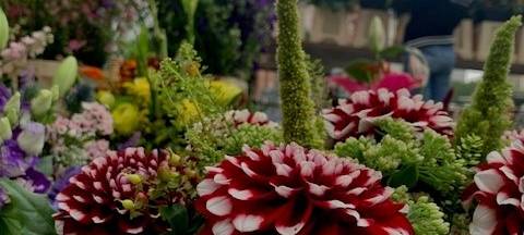 Radio 91.2 unterwegs – auf dem Wochenmarkt in Dortmund