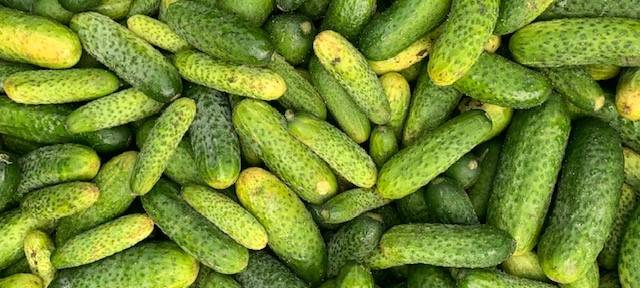 Radio 91.2 unterwegs – auf dem Wochenmarkt in Dortmund