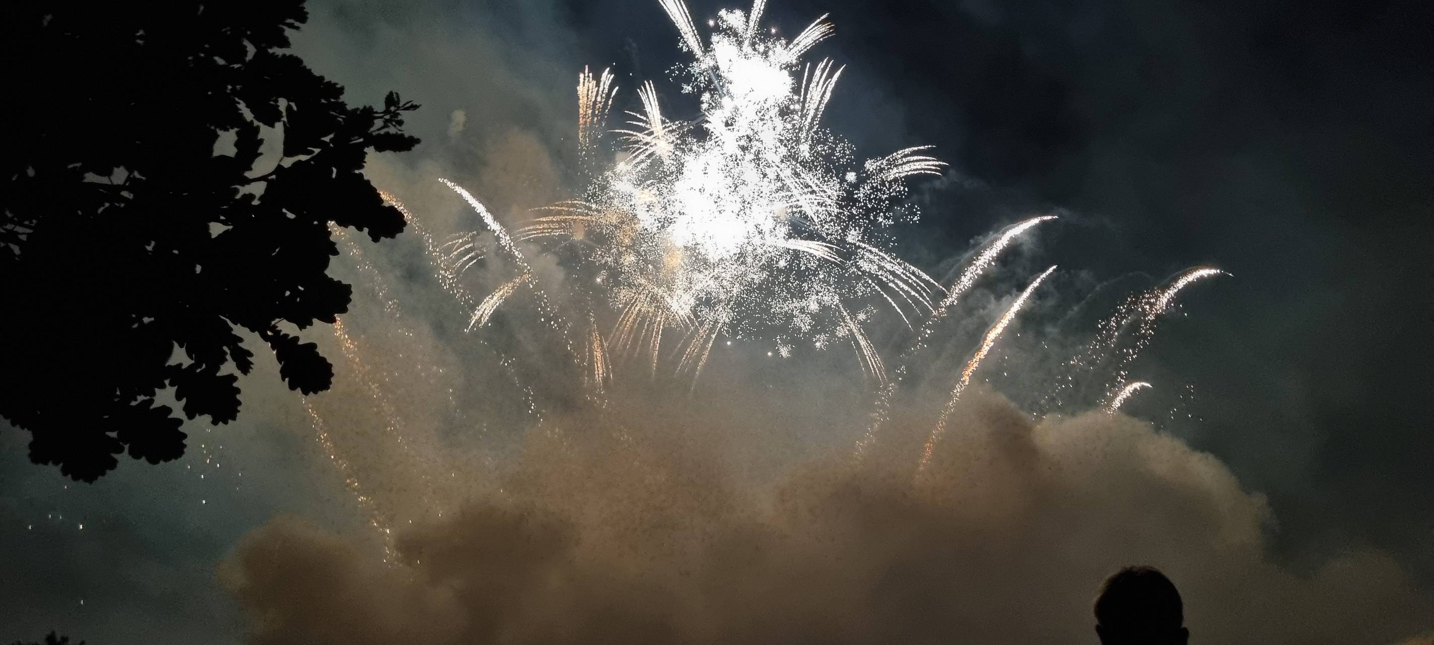 Viel Neues beim Lichterfest im Westfalenpark Dortmund