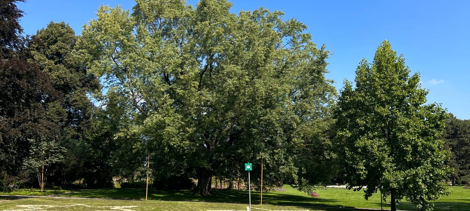 Viel Neues beim Lichterfest im Westfalenpark Dortmund
