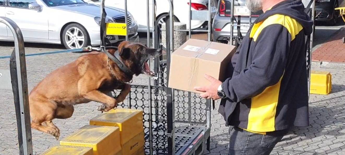 Hundetraining für Postboten in Dortmund
