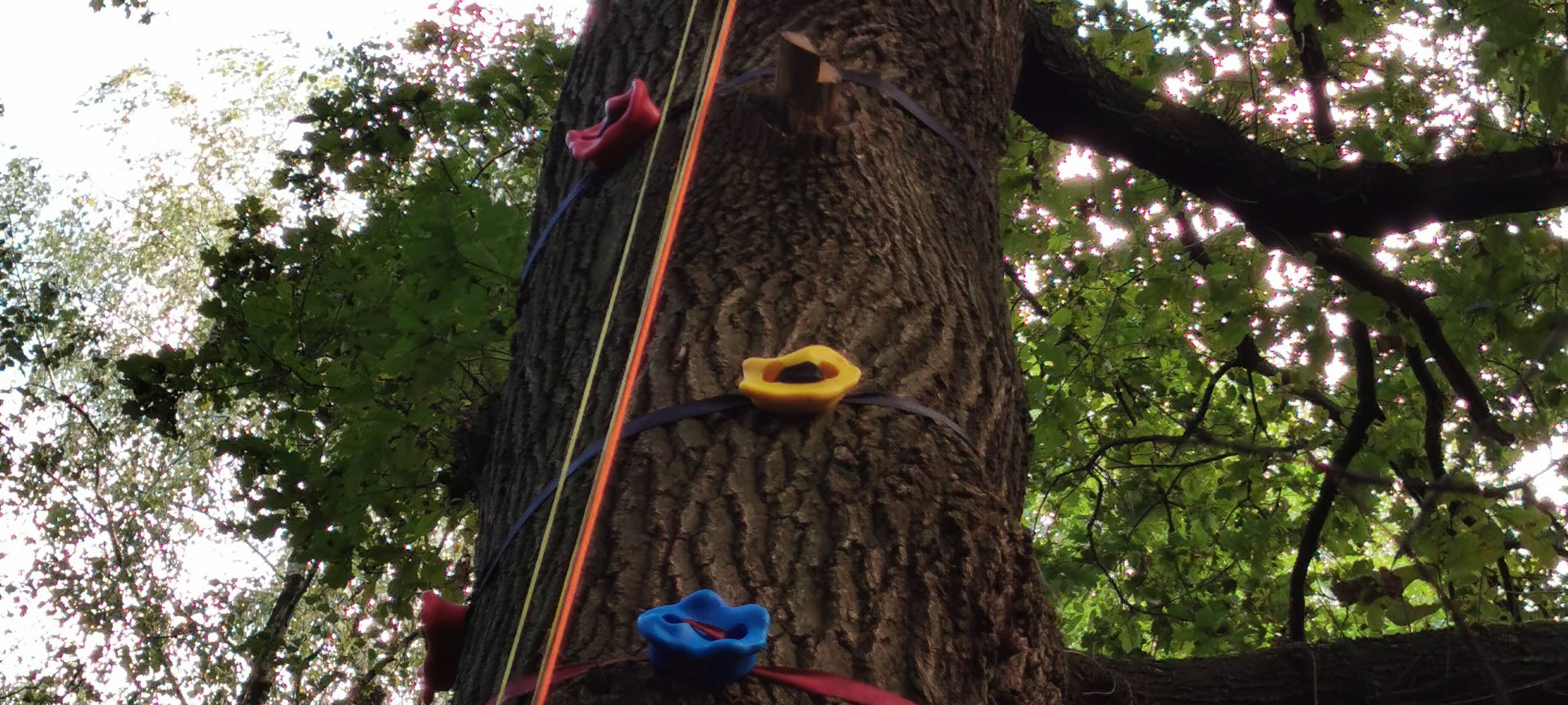Erlebt was e.V.: Kletterbaum
