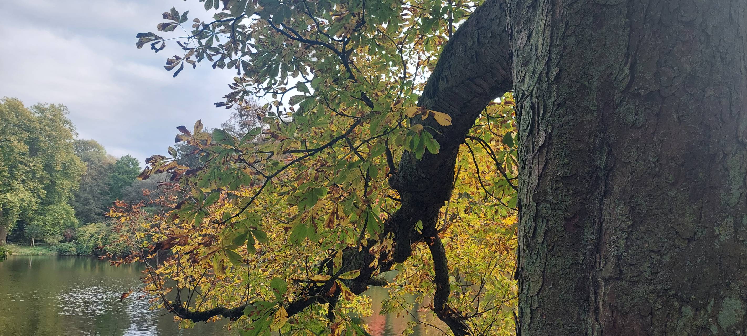 Dortmund macht sich fit für den Herbst