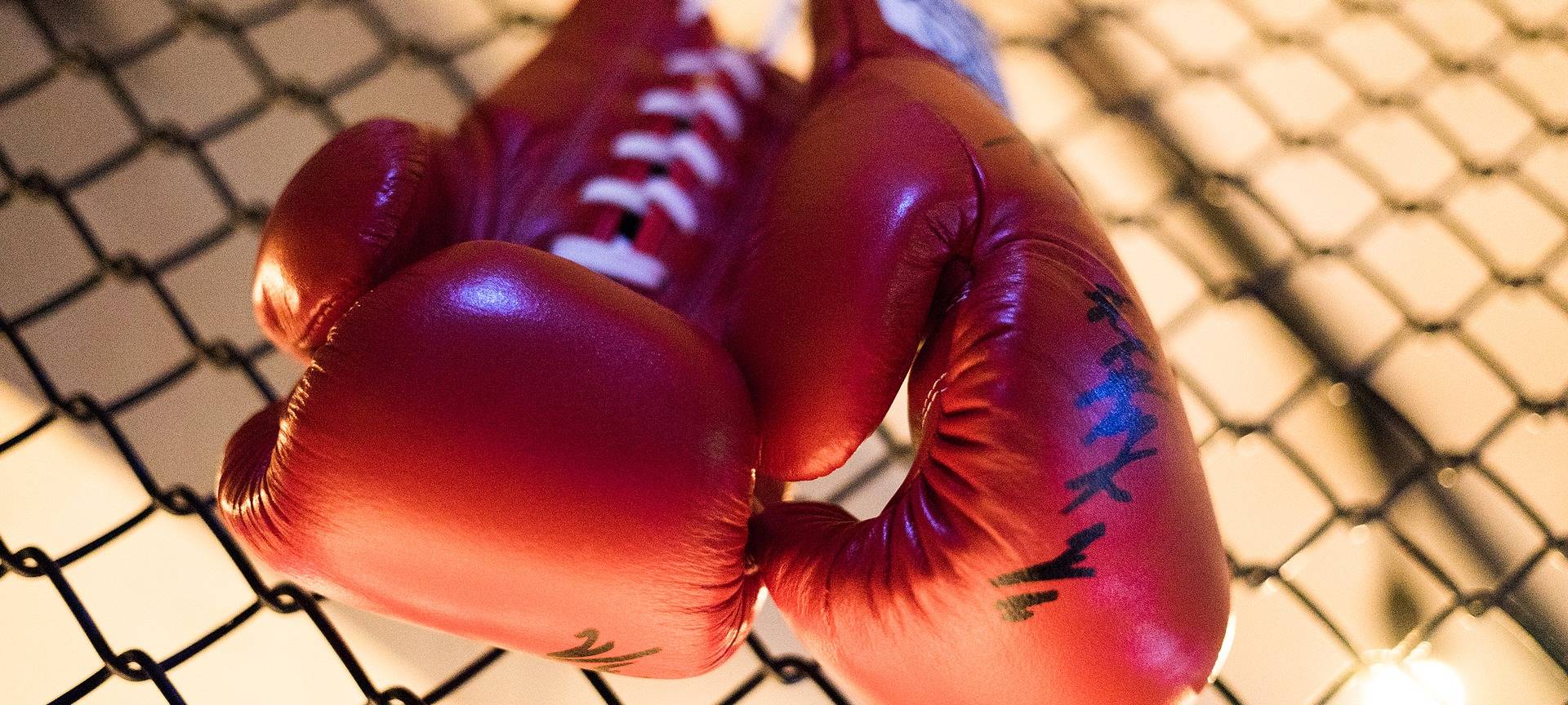 Christina Hammer vs. Claressa Shields