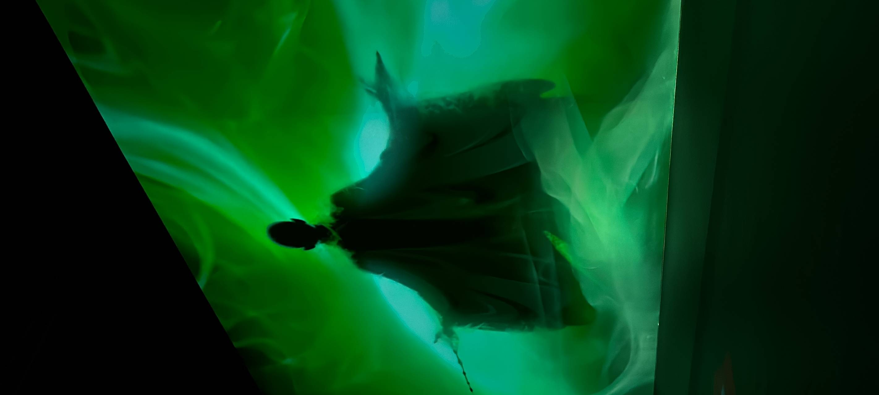 Harry Potter: Das erwartet euch in der neuen Ausstellung in Köln