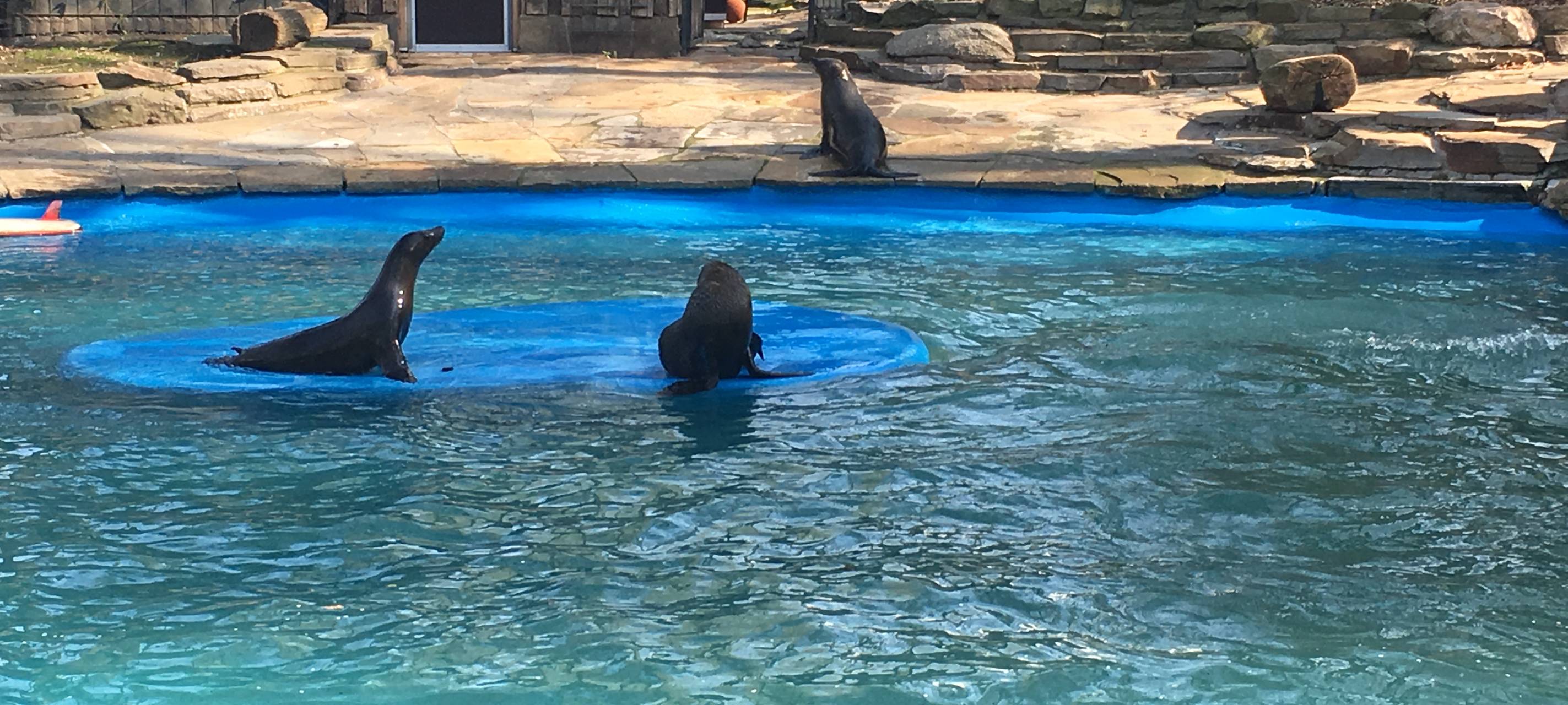 Nachwuchs im Dortmunder Zoo