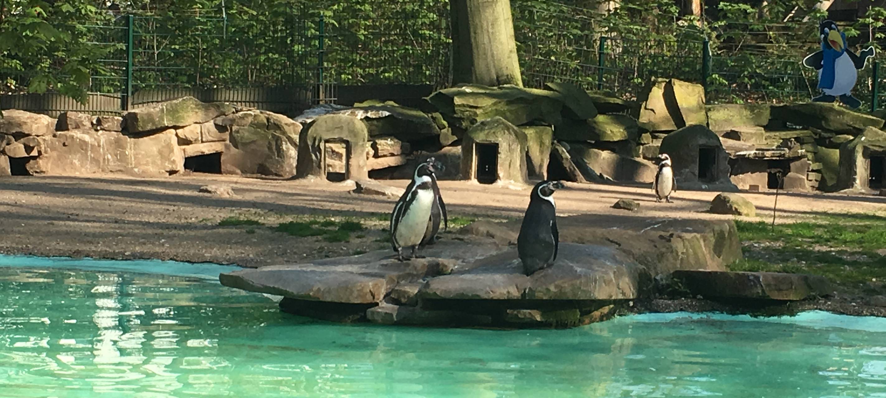 Nachwuchs im Dortmunder Zoo