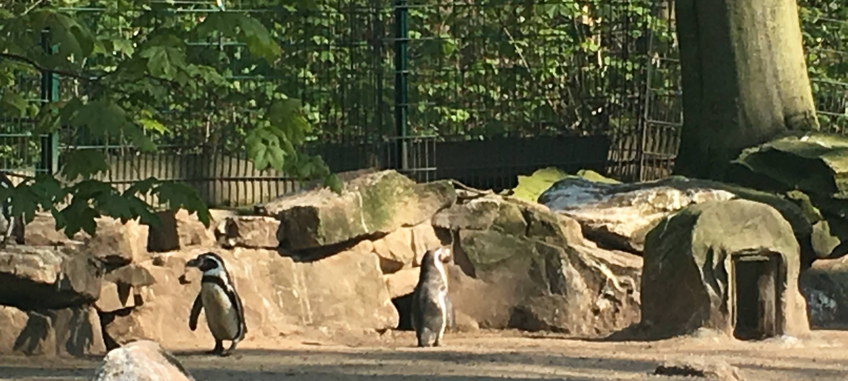 Nachwuchs im Dortmunder Zoo