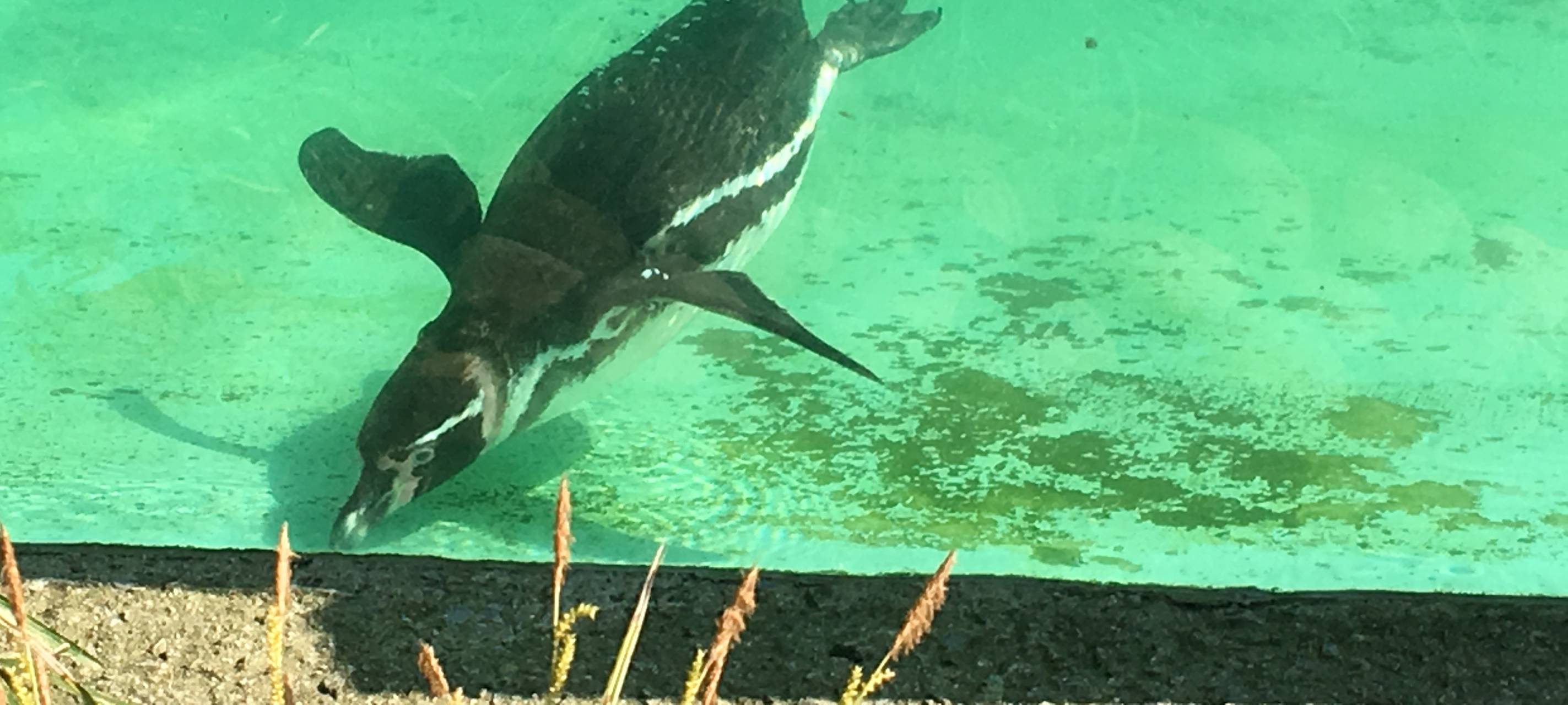 Nachwuchs im Dortmunder Zoo