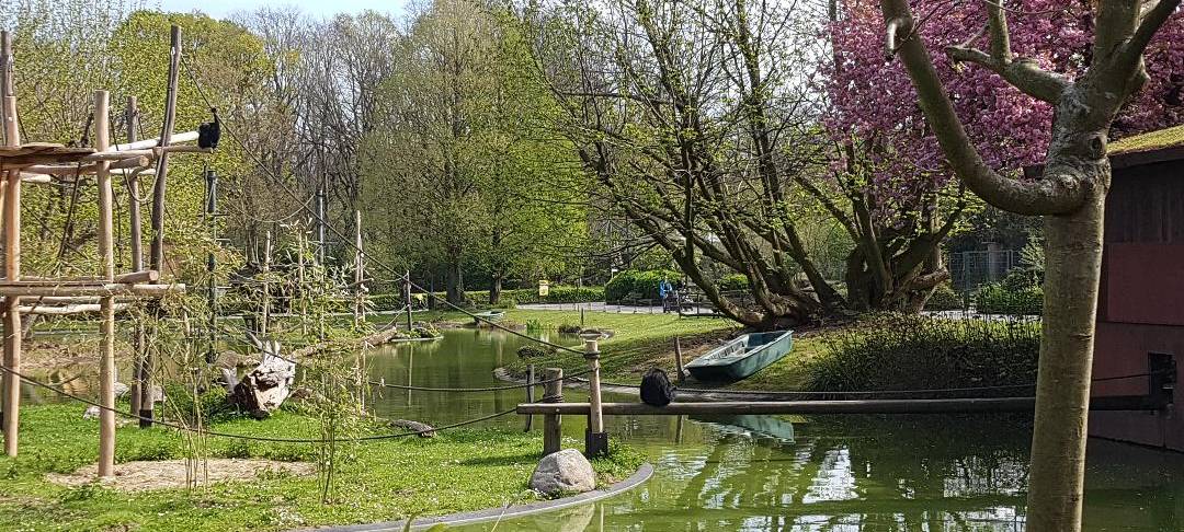 Zukunft des Dortmunder Zoos