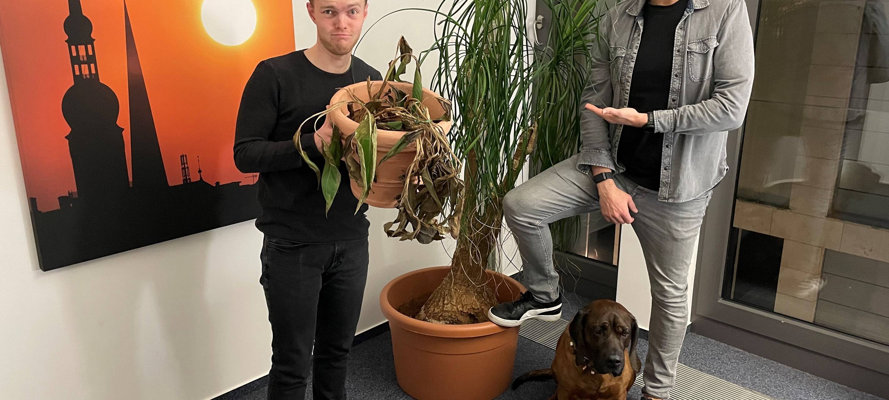 Unsere Moderatoren Tim und Christopher mit zwei Büropflanzen und Studiohund Slash.