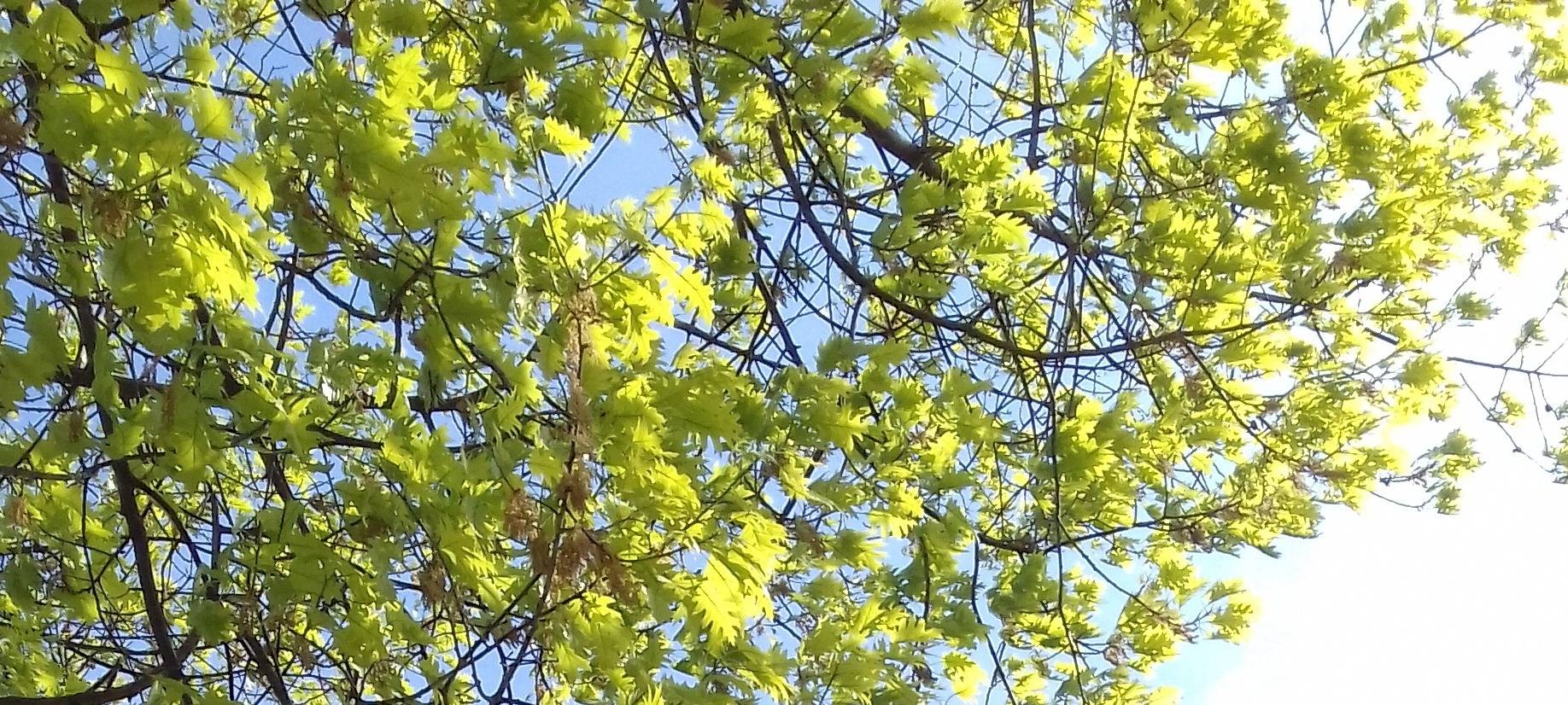 Neue Beschilderung für öffentliche Spielplätze